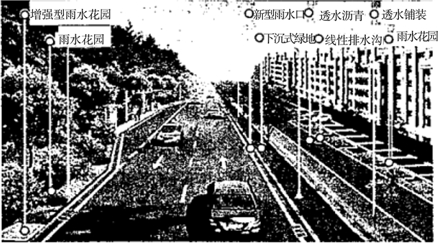 图片_x0020_100004