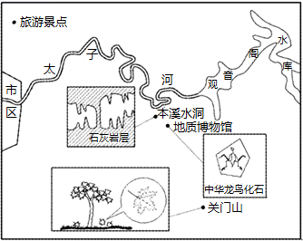 图片_x0020_100023