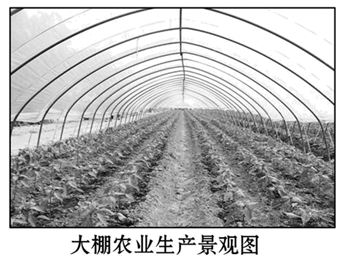 图片_x0020_100011