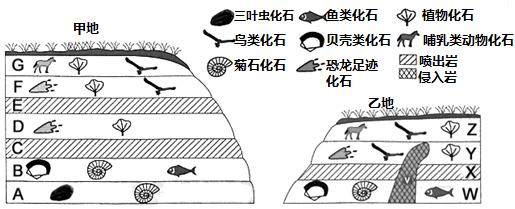 图片_x0020_1313114606