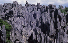 图片_x0020_100006