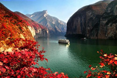 图片_x0020_100004