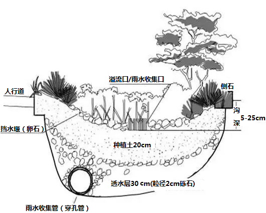 图片_x0020_100014