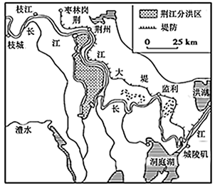 图片_x0020_100009