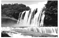 图片_x0020_284820046