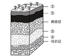 图片_x0020_309709340