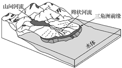图片_x0020_392876093