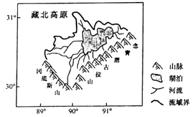 图片_x0020_1745477164