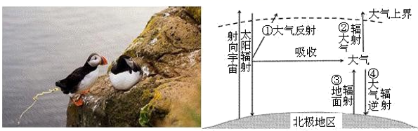 图片_x0020_992105778
