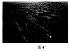图片_x0020_100021
