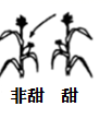 图片_x0020_494822464