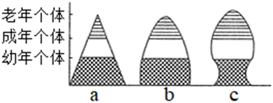 图片_x0020_100012