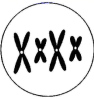 图片_x0020_100005