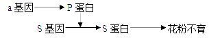 图片_x0020_100001