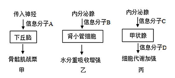 图片_x0020_100002
