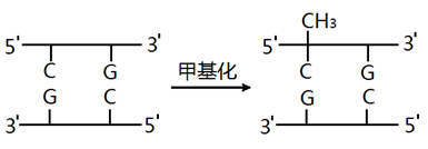 图片_x0020_195297604