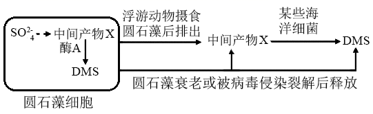图片_x0020_100004