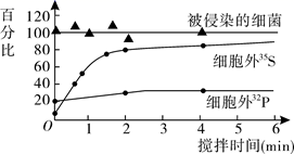 图片_x0020_100001