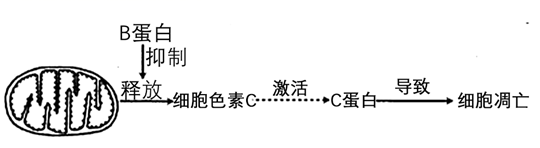图片_x0020_100003