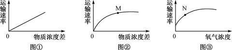 图片_x0020_100009