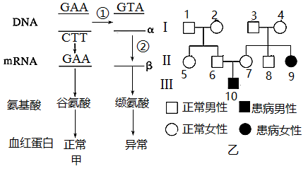图片_x0020_100014