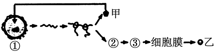 图片_x0020_100001