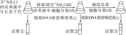 图片_x0020_100003
