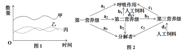 图片_x0020_1706211569