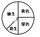 图片_x0020_1342816355