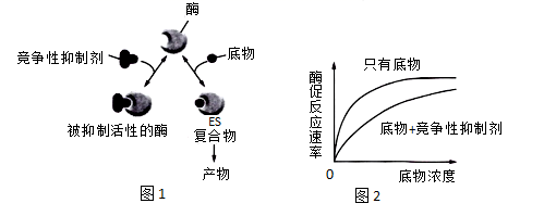 图片_x0020_100001