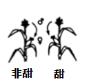 图片_x0020_695266152