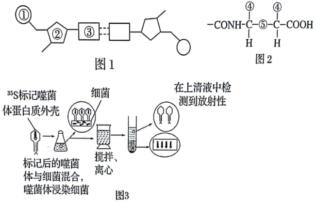 图片_x0020_1214228623