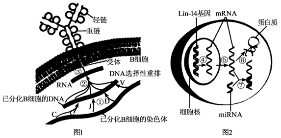 图片_x0020_260145802