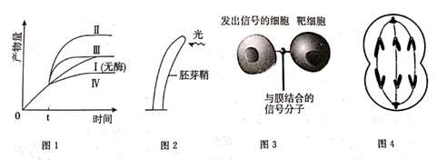 图片_x0020_100003