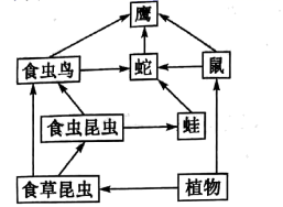 图片_x0020_100011