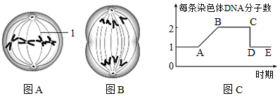 图片_x0020_100015