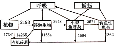 图片_x0020_2317257