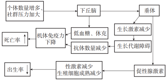 图片_x0020_100006