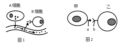 图片_x0020_100004