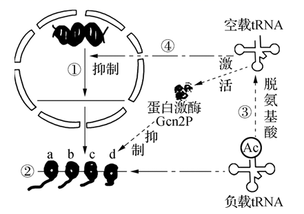 图片_x0020_100008