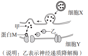 图片_x0020_100005