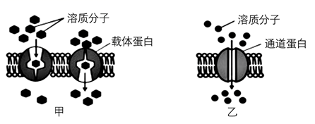 图片_x0020_100008