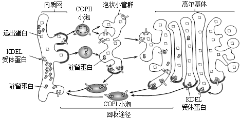 图片_x0020_100001
