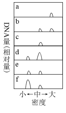 图片_x0020_100001