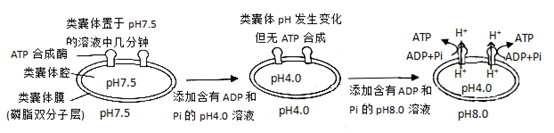 图片_x0020_100001
