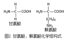 图片_x0020_100014
