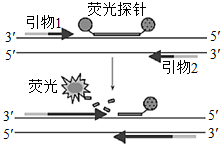 图片_x0020_100003