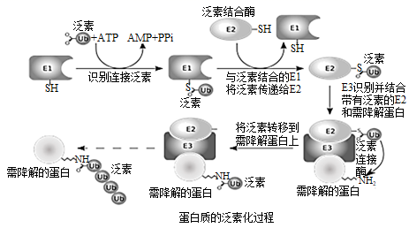 图片_x0020_100012