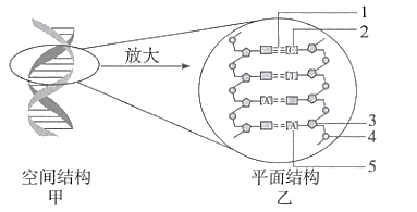 图片_x0020_1961316573