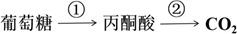 图片_x0020_100008